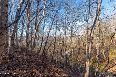 Tiny photo for 919 Sparrow Way, Sharps Chapel, TN 37866 (MLS # 1323375)