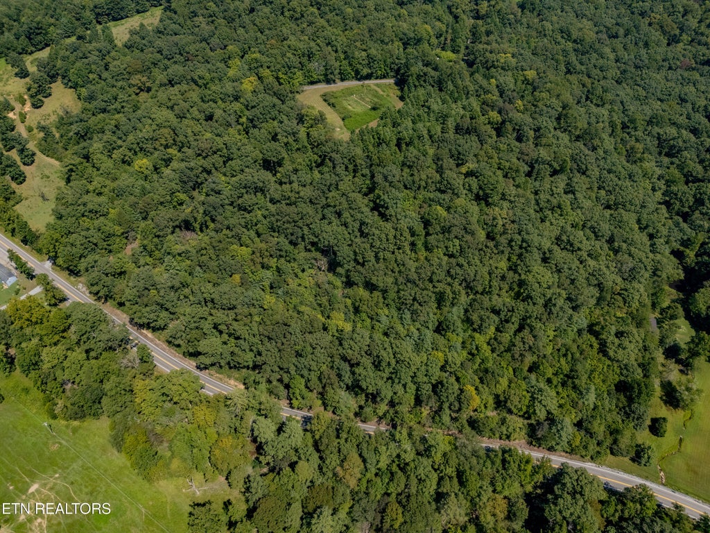 Photo of 0 Morgan Co (8 ac) Hwy, Lancing, TN 37770 (MLS # 1354777)