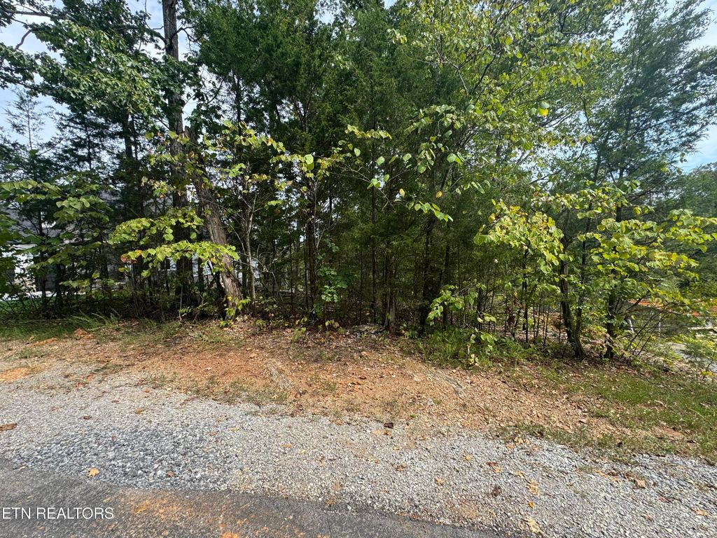 Photo of 103 Odali Lane, Loudon, TN 37774 (MLS # 1335331)