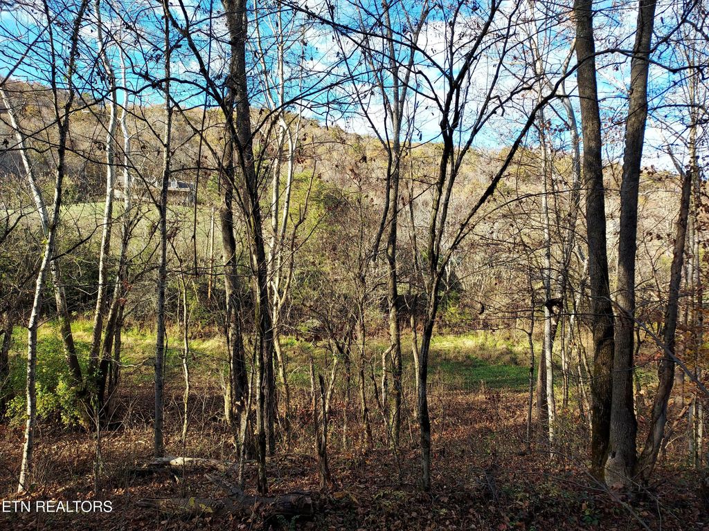 Photo of 725 BULLEN VALLEY, Thorn Hill, TN 37881 (MLS # 1282079)