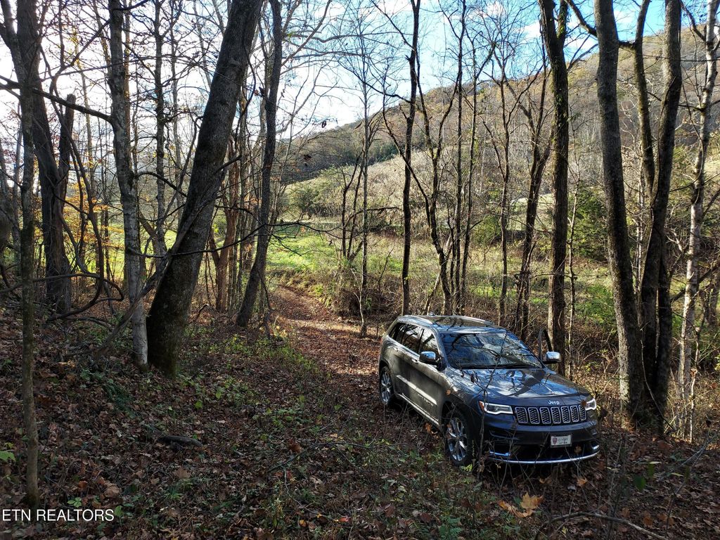 Photo of 725 BULLEN VALLEY, Thorn Hill, TN 37881 (MLS # 1282079)