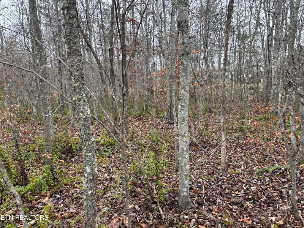 Photo of Everett Lane, Robbins, TN 37852 (MLS # 1337424)