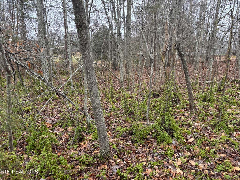 Photo of Everett Lane, Robbins, TN 37852 (MLS # 1337424)