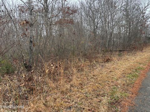 Photo of Everett Lane, Robbins, TN 37852 (MLS # 1337424)