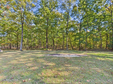Tiny photo for 510 Catoosa Ridge Rd, Rockwood, TN 37854 (MLS # 1360231)