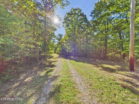 Tiny photo for 510 Catoosa Ridge Rd, Rockwood, TN 37854 (MLS # 1360231)