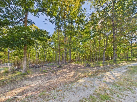 Tiny photo for 510 Catoosa Ridge Rd, Rockwood, TN 37854 (MLS # 1360231)