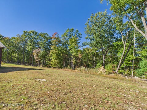 Tiny photo for 510 Catoosa Ridge Rd, Rockwood, TN 37854 (MLS # 1360231)