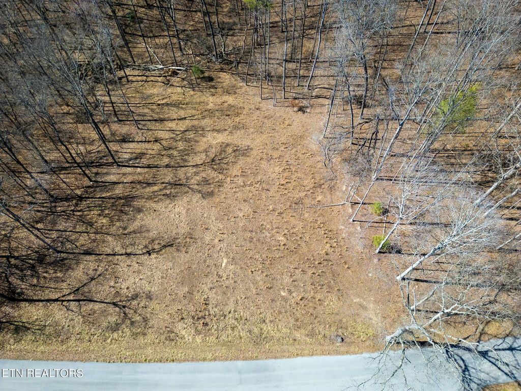 Photo of 229 Clear Springs Rd Rd, Harriman, TN 37748 (MLS # 1292168)