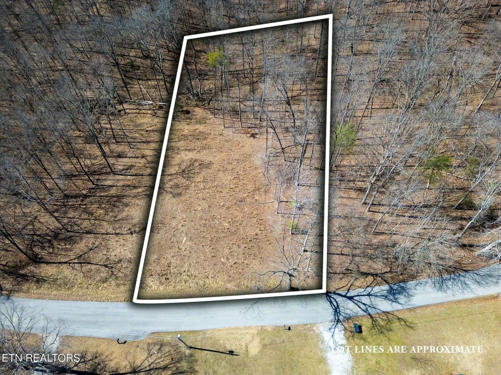 Photo of 229 Clear Springs Rd Rd, Harriman, TN 37748 (MLS # 1292168)
