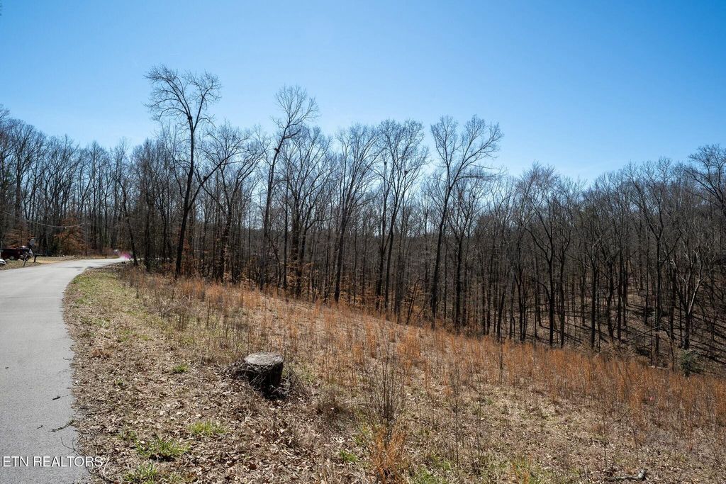 Photo of 229 Clear Springs Rd Rd, Harriman, TN 37748 (MLS # 1292168)