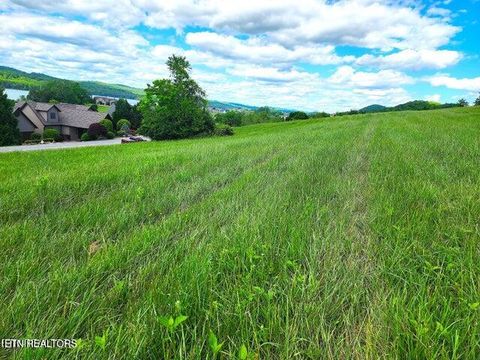 Tiny photo for 650 Russell Brothers Rd, Sharps Chapel, TN 37866 (MLS # 1332668)