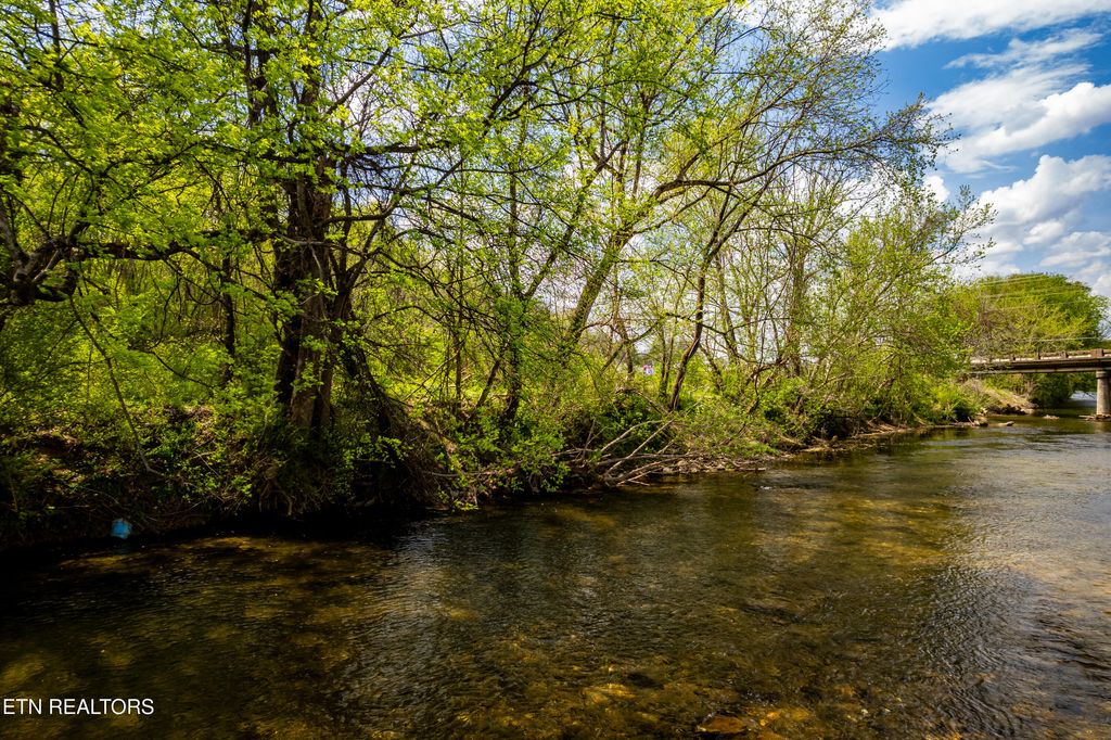 Photo of 2 Cherohala Skyway, Tellico Plains, TN 37385 (MLS # 1297040)