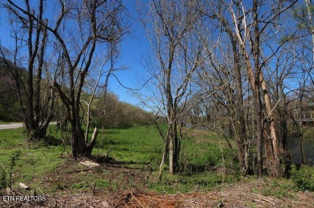 Photo of 2 Cherohala Skyway, Tellico Plains, TN 37385 (MLS # 1297040)