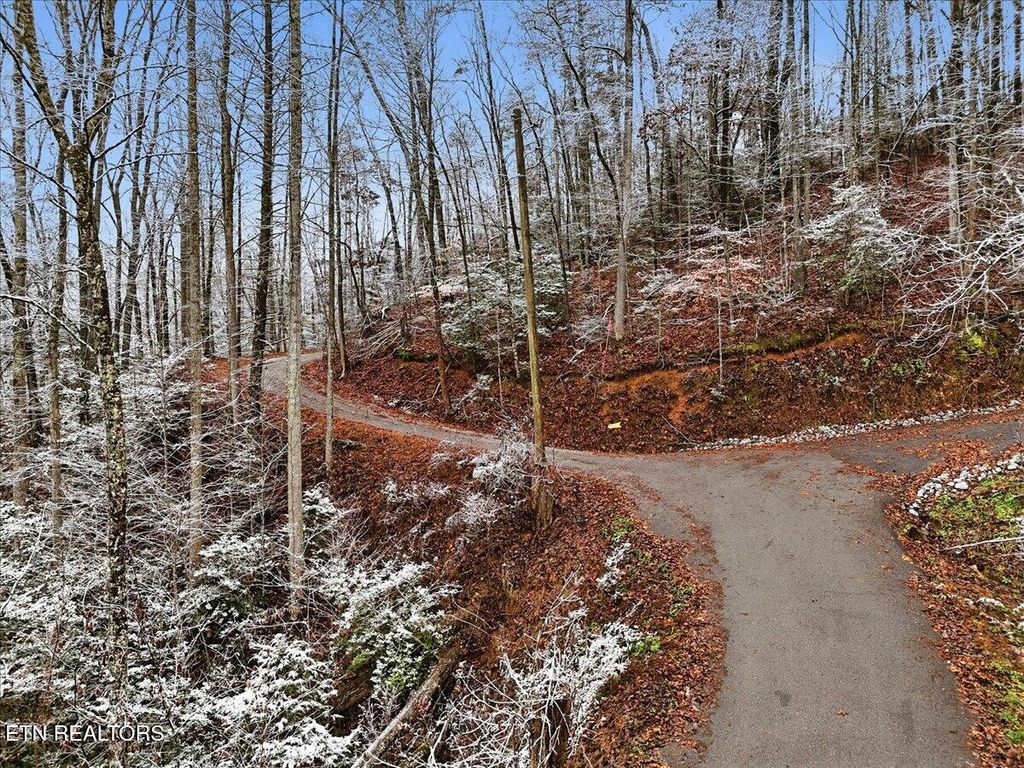 Photo of 202 Autumn Lane, Gatlinburg, TN 37738 (MLS # 1323056)