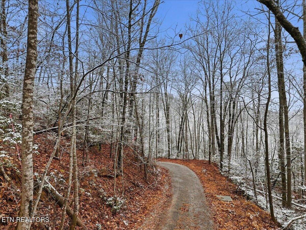Photo of 202 Autumn Lane, Gatlinburg, TN 37738 (MLS # 1323056)