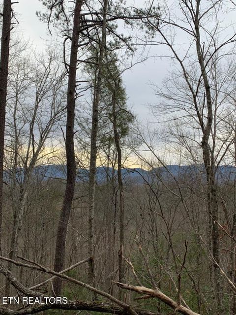 Photo of 202 Autumn Lane, Gatlinburg, TN 37738 (MLS # 1323056)