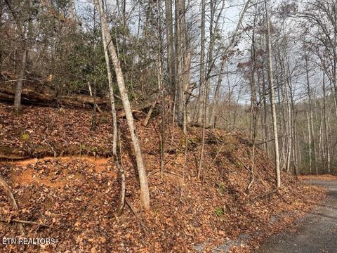 Tiny photo for 202 Autumn Lane, Gatlinburg, TN 37738 (MLS # 1323056)
