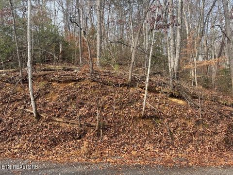 Tiny photo for 202 Autumn Lane, Gatlinburg, TN 37738 (MLS # 1323056)