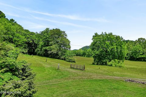 Tiny photo for 181 Tinsley Lane, Whitleyville, TN 38588 (MLS # 1340676)