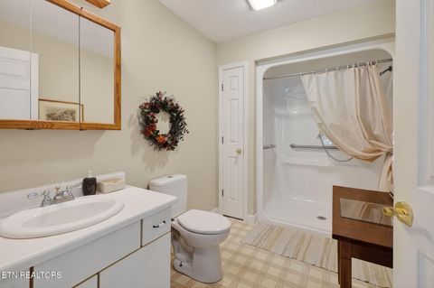 Tiny photo for 181 Tinsley Lane, Whitleyville, TN 38588 (MLS # 1340676)
