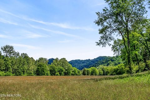 Tiny photo for 181 Tinsley Lane, Whitleyville, TN 38588 (MLS # 1340676)