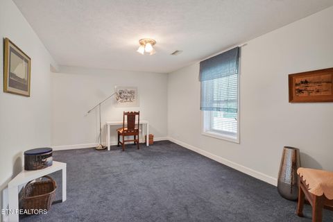 Tiny photo for 181 Tinsley Lane, Whitleyville, TN 38588 (MLS # 1340676)