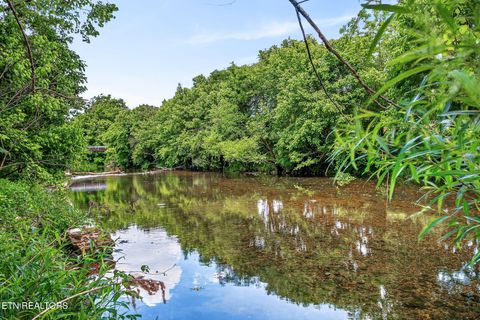 Tiny photo for 181 Tinsley Lane, Whitleyville, TN 38588 (MLS # 1340676)