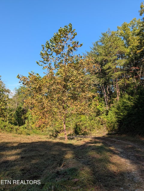 Tiny photo for 130 Abels Valley Rd, Rockwood, TN 37854 (MLS # 1359627)
