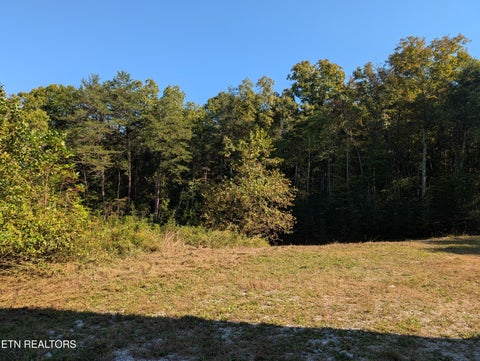 Tiny photo for 130 Abels Valley Rd, Rockwood, TN 37854 (MLS # 1359627)