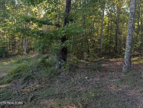 Tiny photo for 130 Abels Valley Rd, Rockwood, TN 37854 (MLS # 1359627)