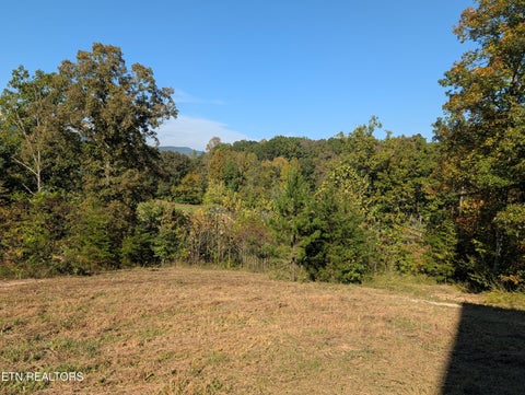 Tiny photo for 130 Abels Valley Rd, Rockwood, TN 37854 (MLS # 1359627)