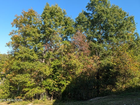Tiny photo for 130 Abels Valley Rd, Rockwood, TN 37854 (MLS # 1359627)