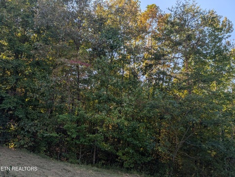 Tiny photo for 130 Abels Valley Rd, Rockwood, TN 37854 (MLS # 1359627)