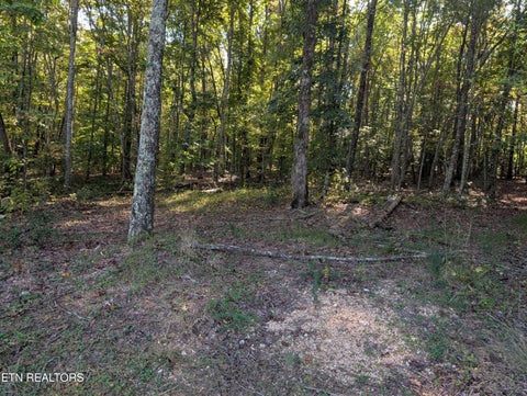Tiny photo for 130 Abels Valley Rd, Rockwood, TN 37854 (MLS # 1359627)