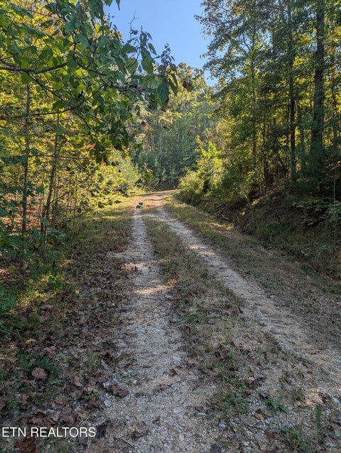 Tiny photo for 130 Abels Valley Rd, Rockwood, TN 37854 (MLS # 1359627)