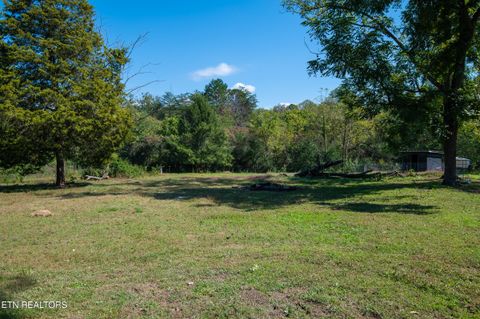 Tiny photo for 451 Shady Grove Rd, Lancing, TN 37770 (MLS # 1317579)