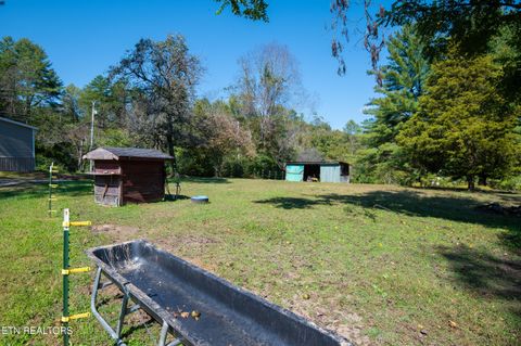 Tiny photo for 451 Shady Grove Rd, Lancing, TN 37770 (MLS # 1317579)