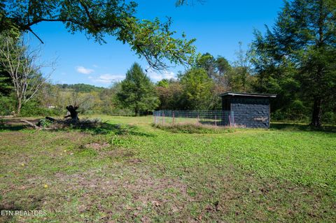 Tiny photo for 451 Shady Grove Rd, Lancing, TN 37770 (MLS # 1317579)