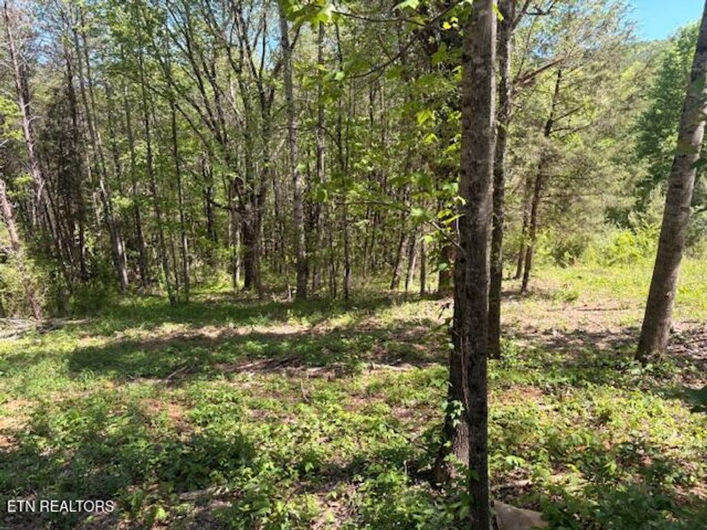 Photo of 00 Bivens Court, Niota, TN 37826 (MLS # 1337317)