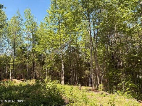 Tiny photo for 00 Bivens Court, Niota, TN 37826 (MLS # 1337317)