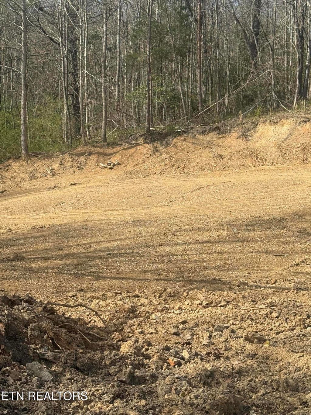 Photo of 125 Reynolds Rd, Oakdale, TN 37829 (MLS # 1333827)