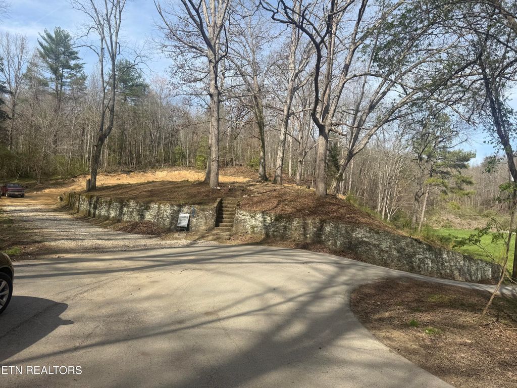 Photo of 125 Reynolds Rd, Oakdale, TN 37829 (MLS # 1333827)