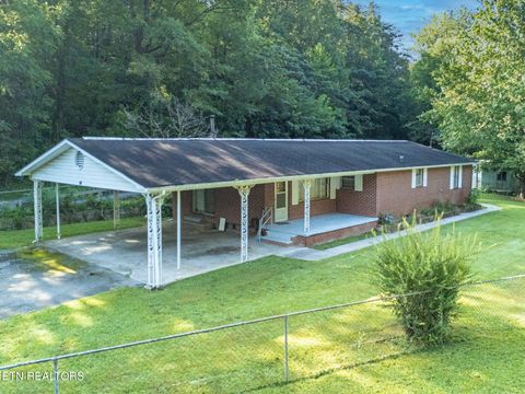 Photo of 813 Andys Ridge Rd, Rocky Top, TN 37769 (MLS # 1313001)