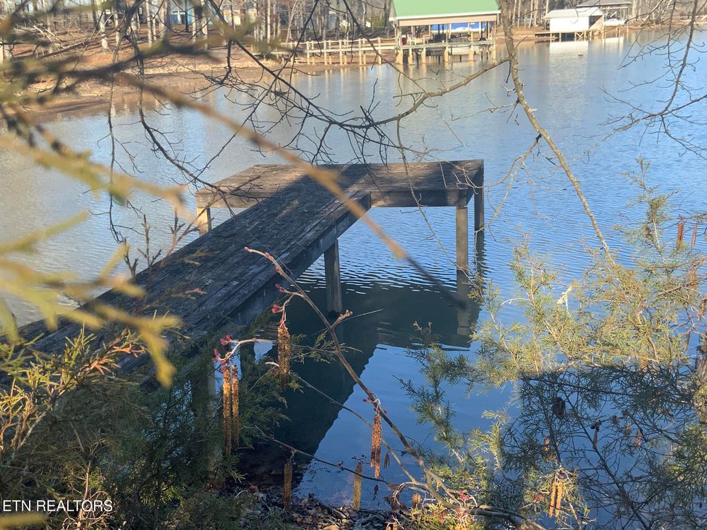 Photo of 91 Bending Bow Drive, Ten Mile, TN 37880 (MLS # 1331056)