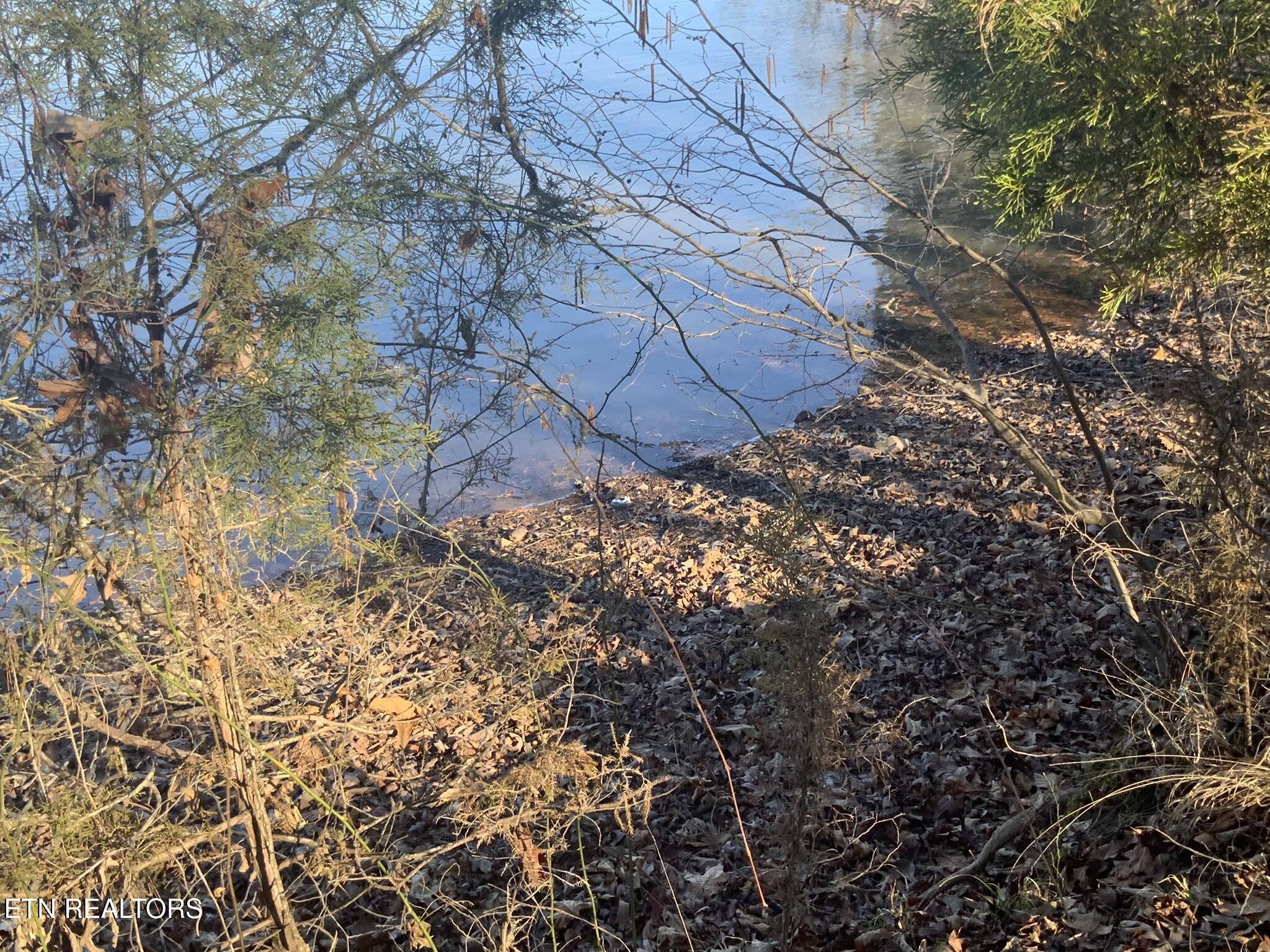 Lot 91 Bending Bow Drive