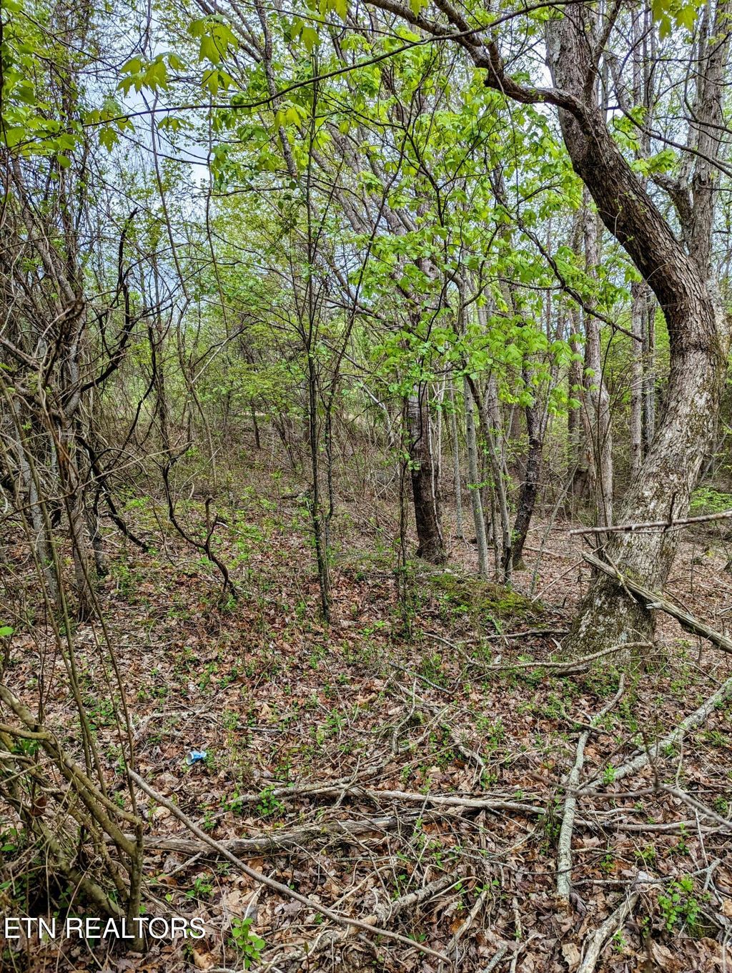 Photo of 762 Surrey Lane, Spencer, TN 38585 (MLS # 1321186)