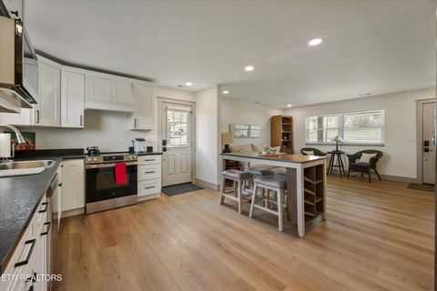 Tiny photo for 1704 S Forest Drive, Knoxville, TN 37920 (MLS # 1333156)