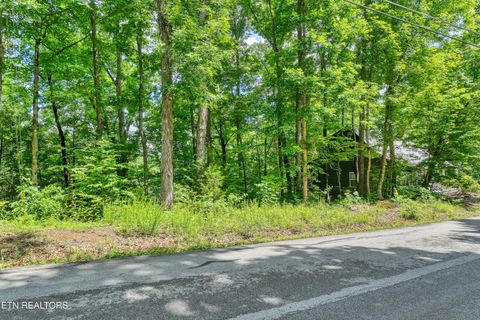 Photo of 424 Laurel Rd, Townsend, TN 37882 (MLS # 1343123)