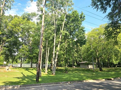 Single Family Residence in Alcoa TN 293 Harrison St 7.jpg